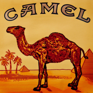 cigarette et tabac camel